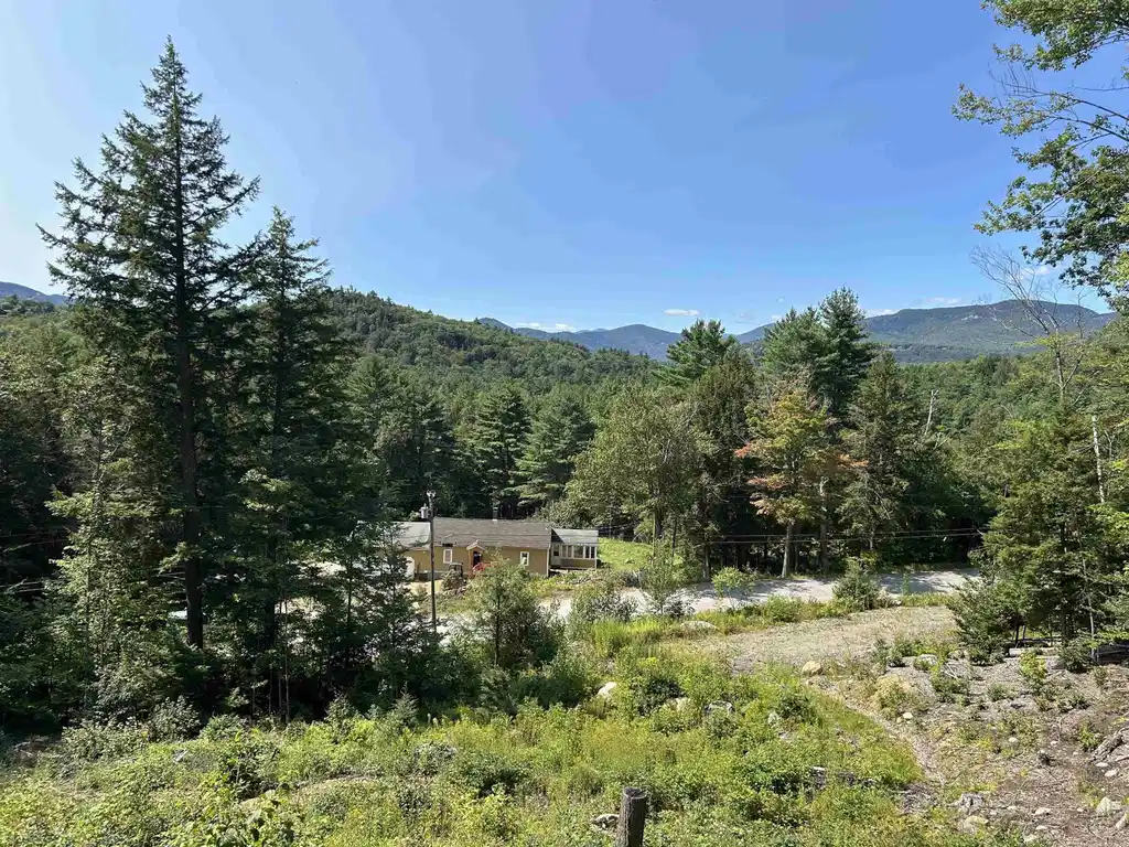 Image 1: White Mtn. View to the West