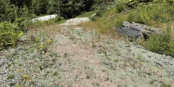 Image 3: Driveway to Thorn Hill View
