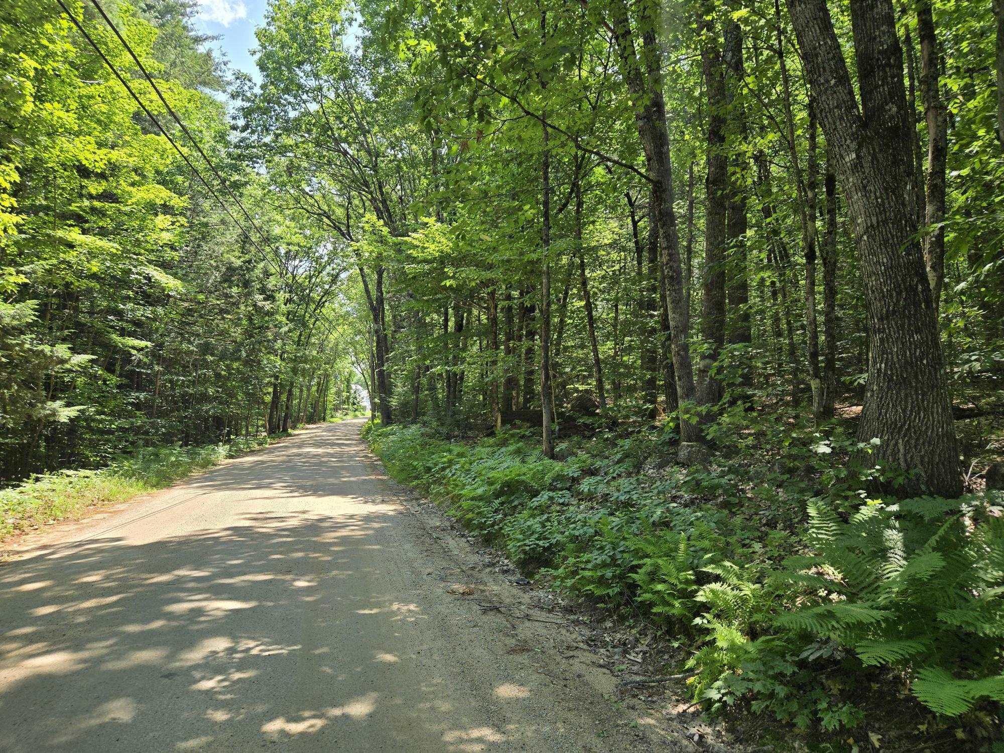 Image 1 Image 1