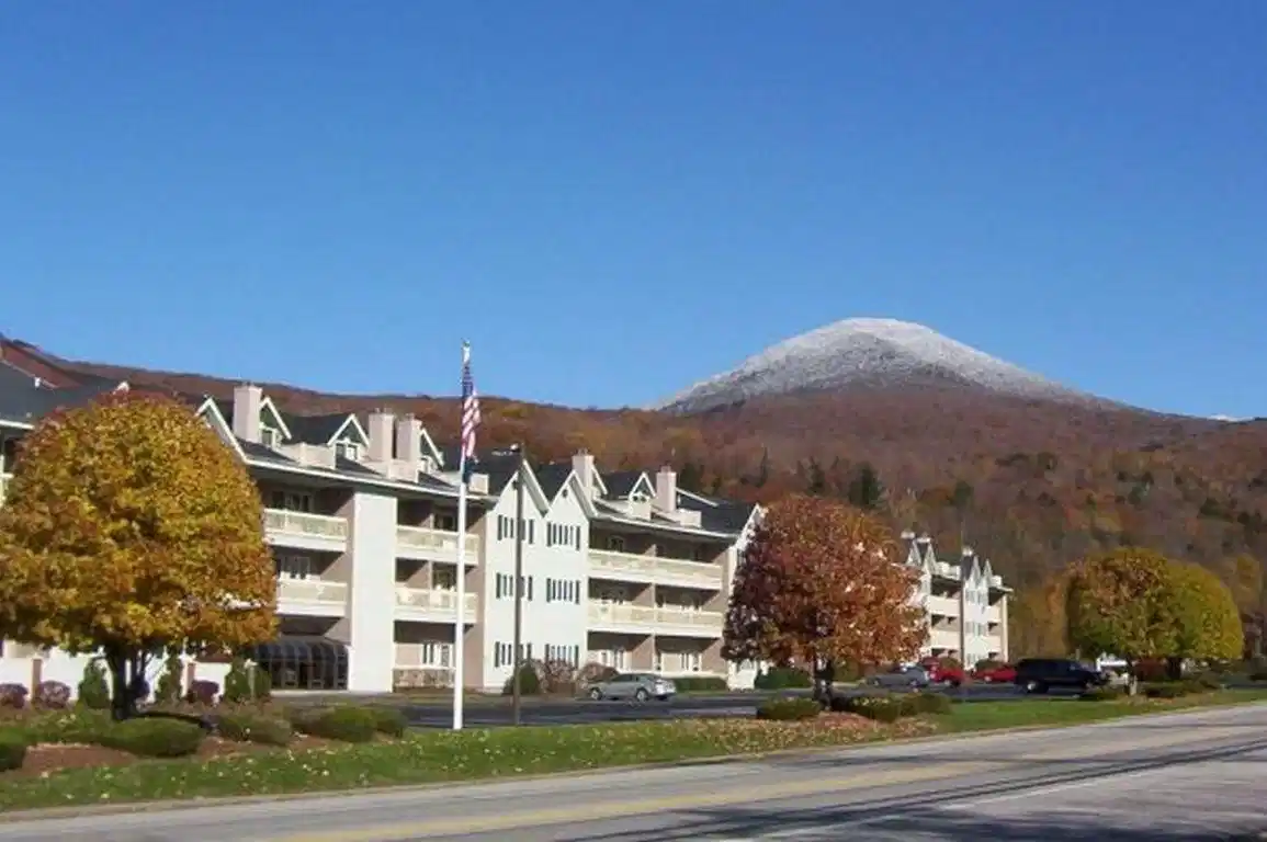 Image 1 Image 1