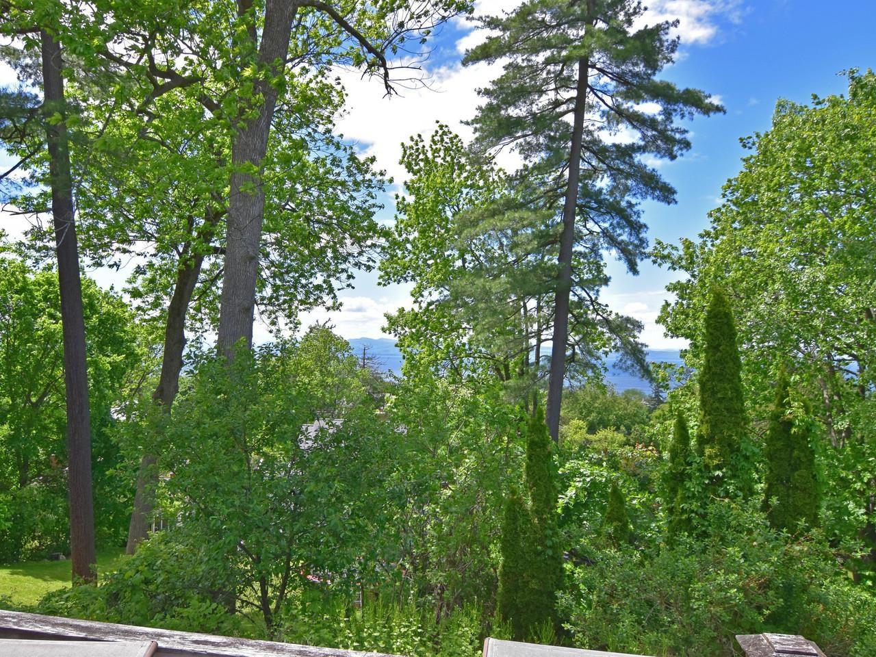 Image 2: Lake & mountain views