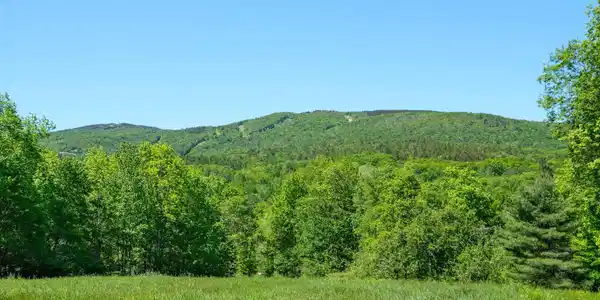 0 Rod and Gun Club Road