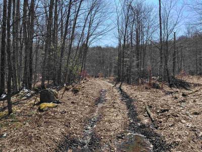 Lot 1 Marshall Road