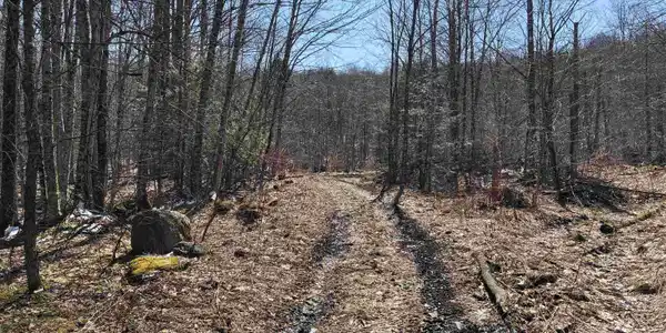 Lot 1 Marshall Road