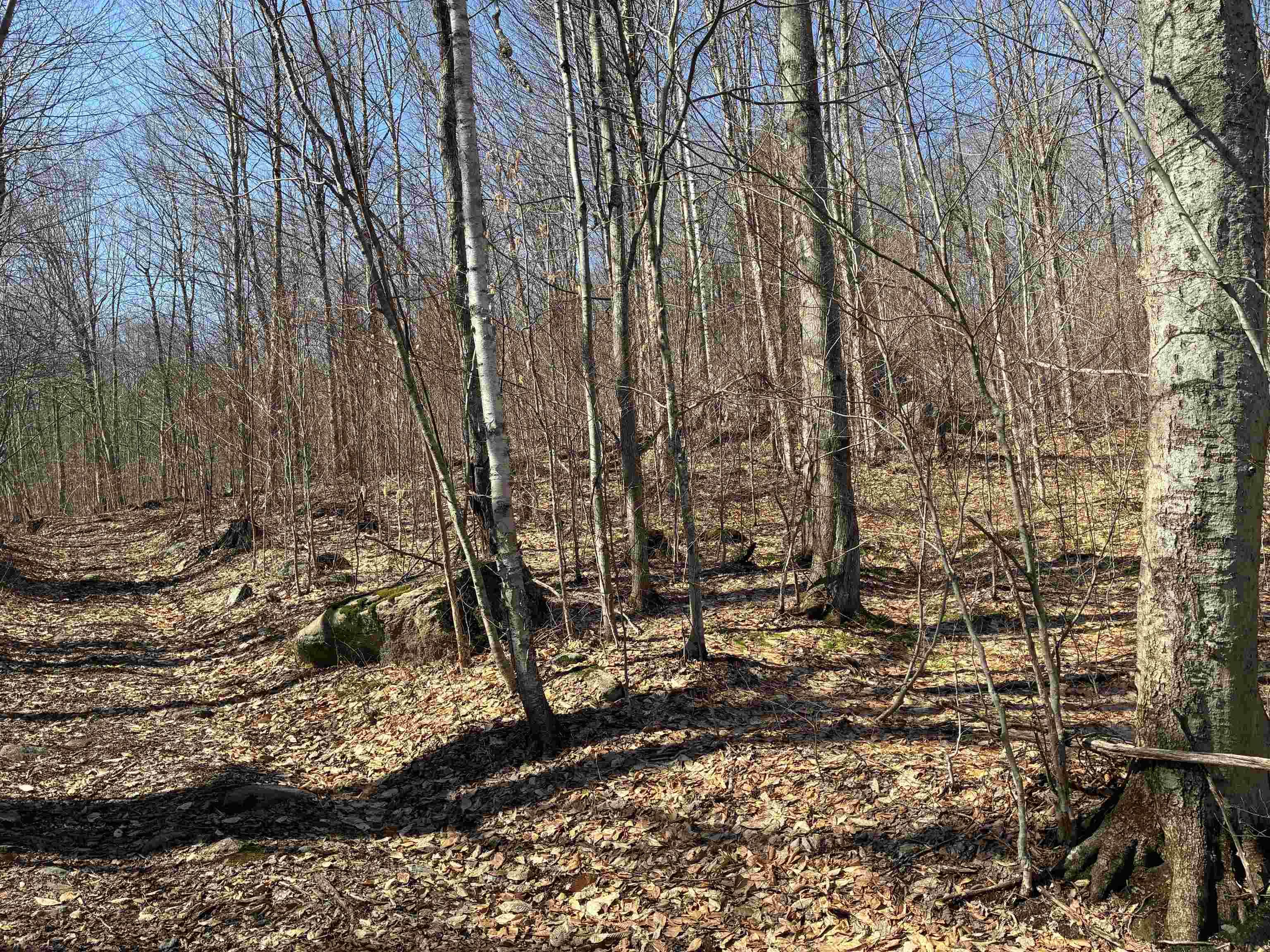 Image 4 Image 4