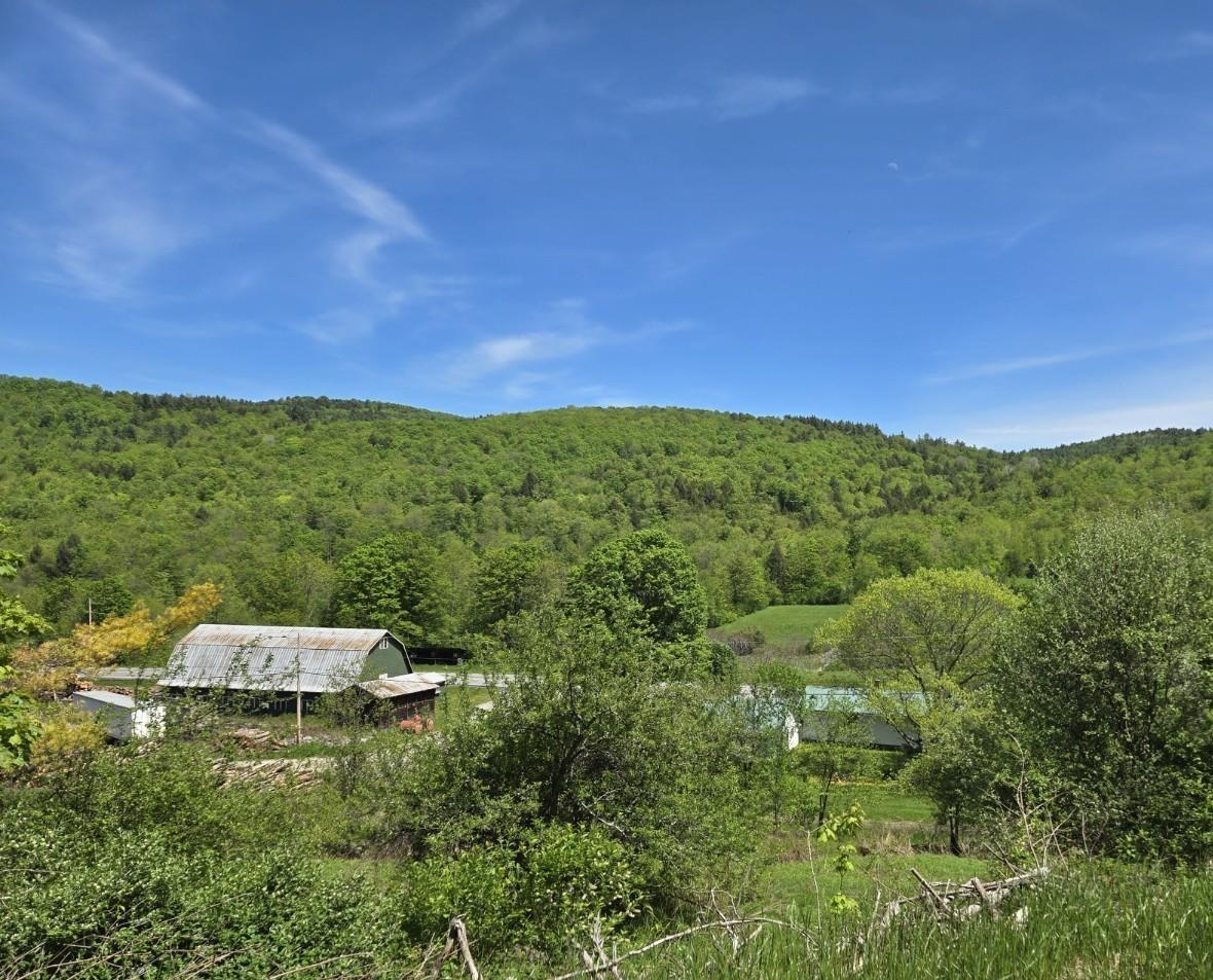 Image 2 Image 2
