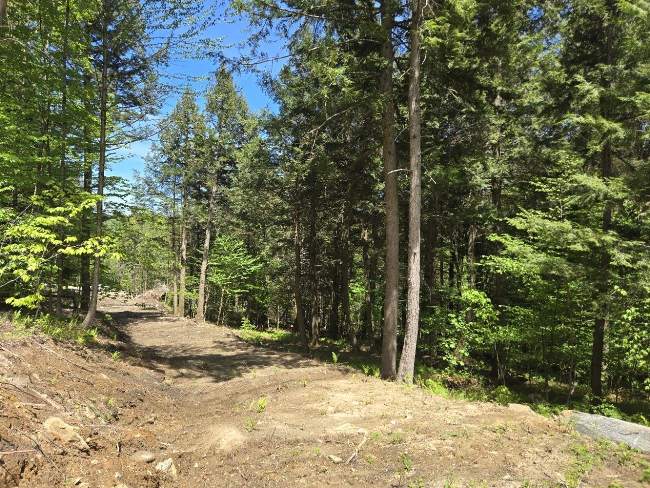 Image 4 Image 4