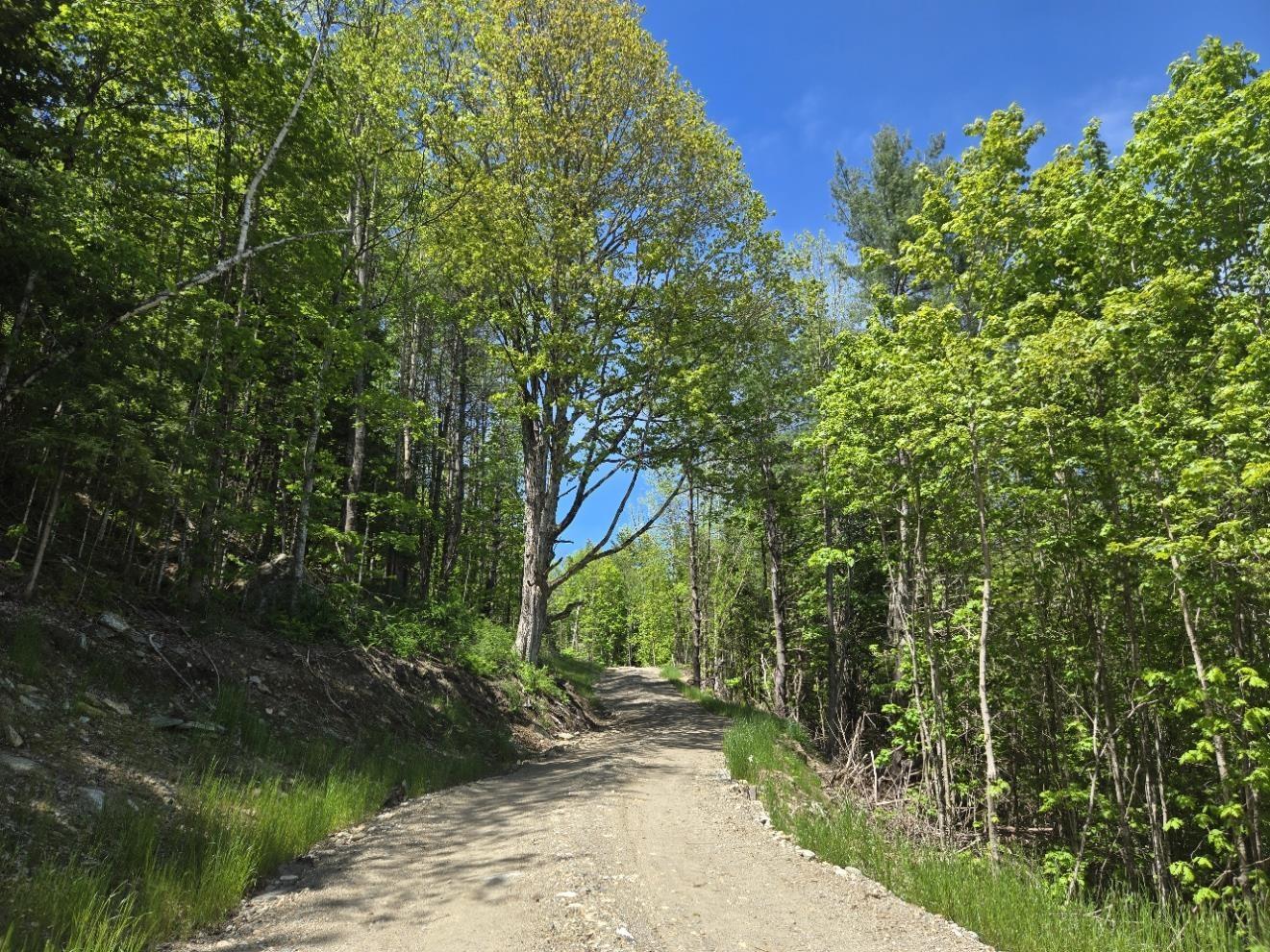 Image 2 Image 2