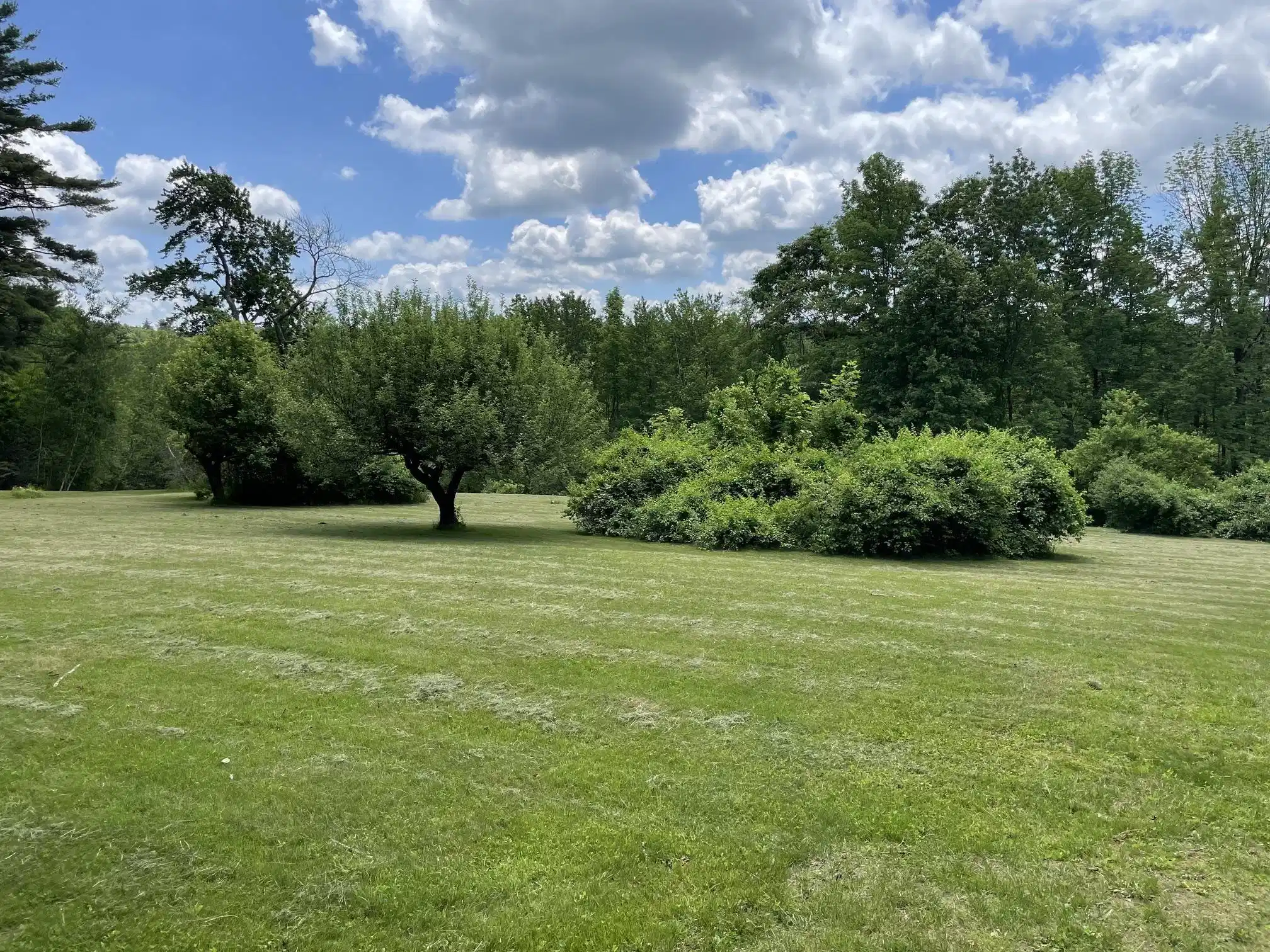 Image 1 Image 1