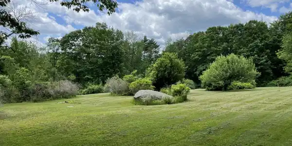 Image 4: Broad open meadow Image 4: Broad open meadow