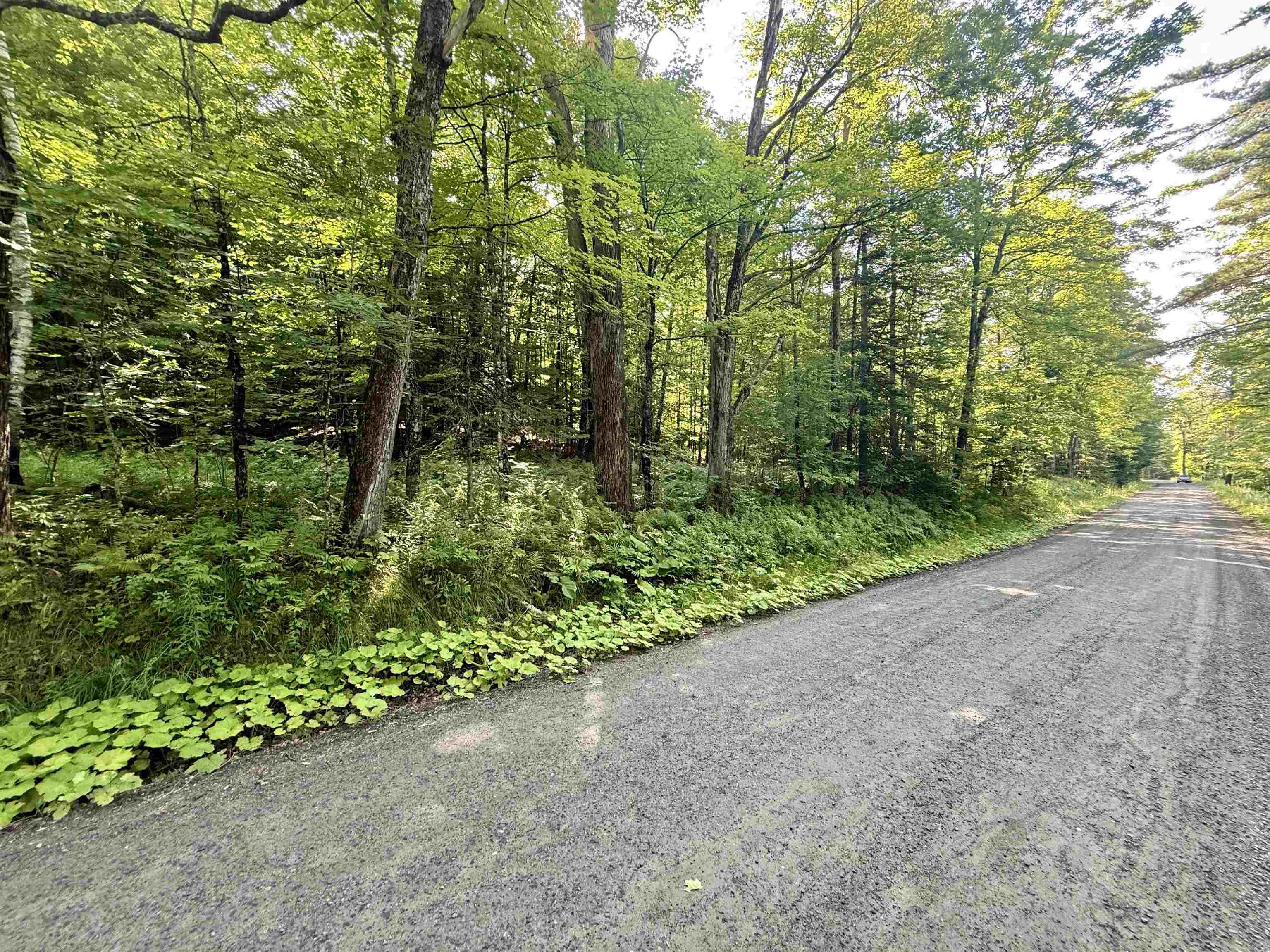Image 1: 000 Old Man Mountain Rd, St. Johnsbury, VT 05819 Image 1: 000 Old Man Mountain Rd, St. Johnsbury, VT 05819