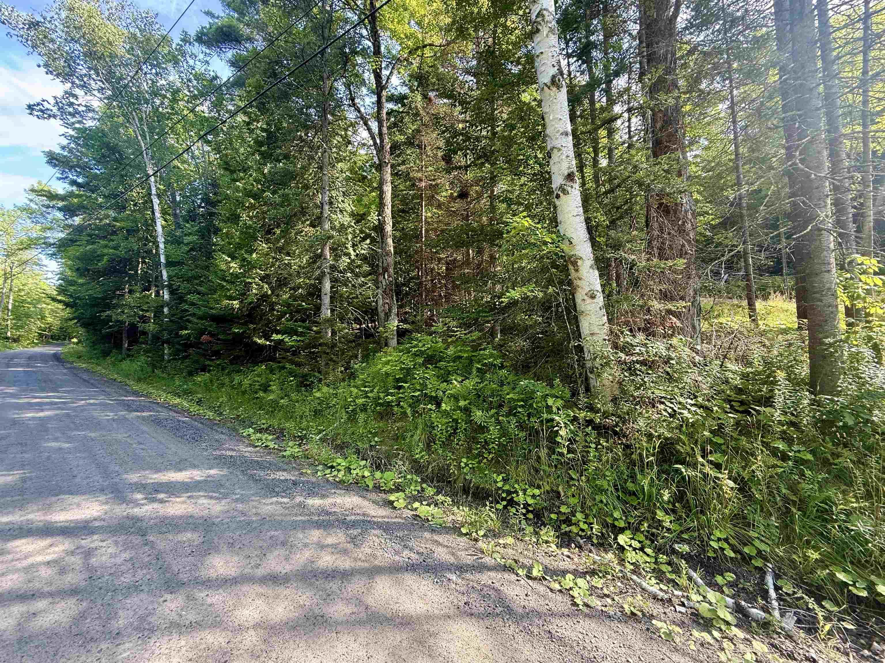 Image 2: 493' of Road Frontage Image 2: 493' of Road Frontage