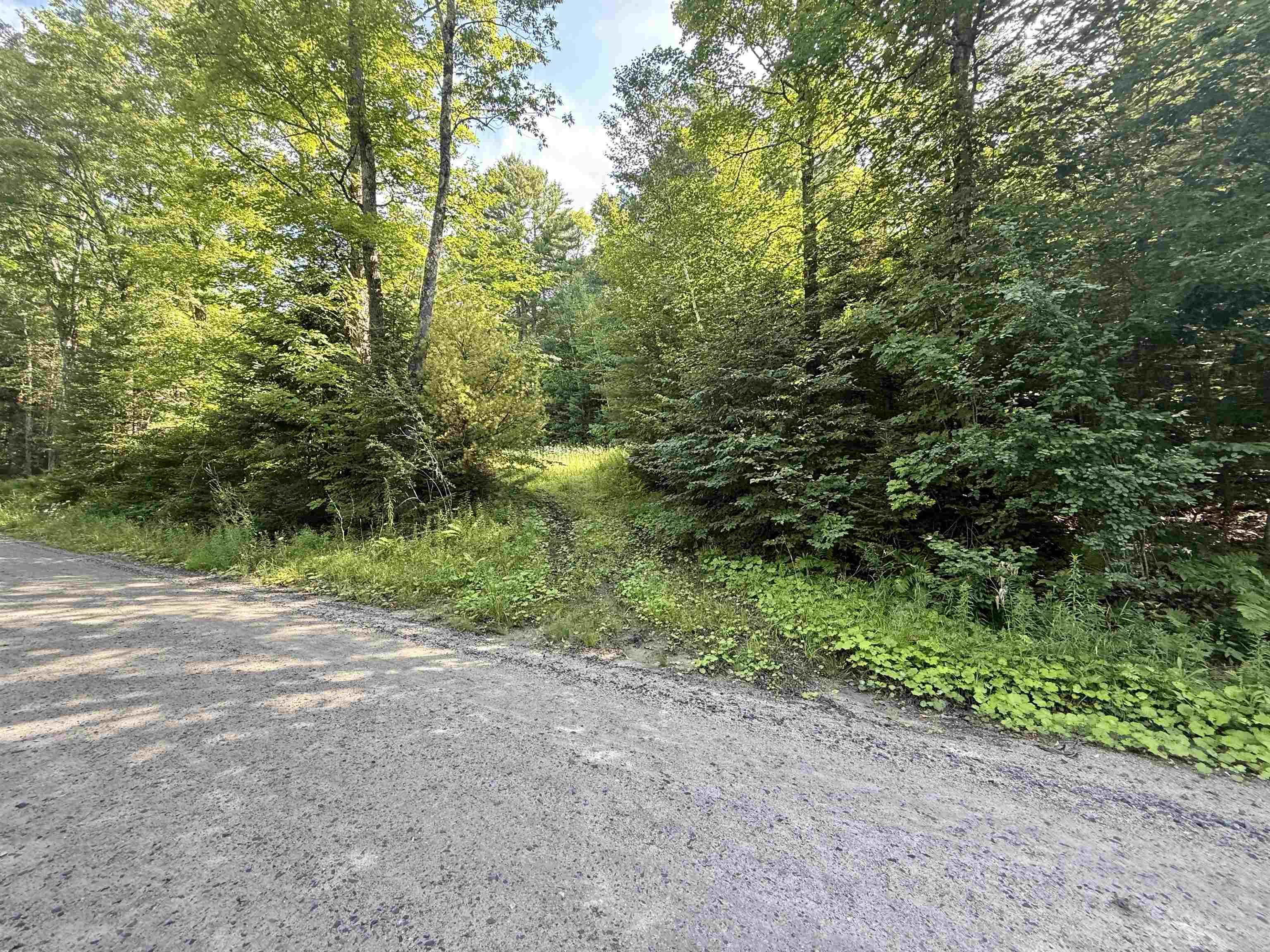Image 3: Driveway to Homesite Image 3: Driveway to Homesite