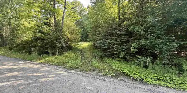 Image 3: Driveway to Homesite