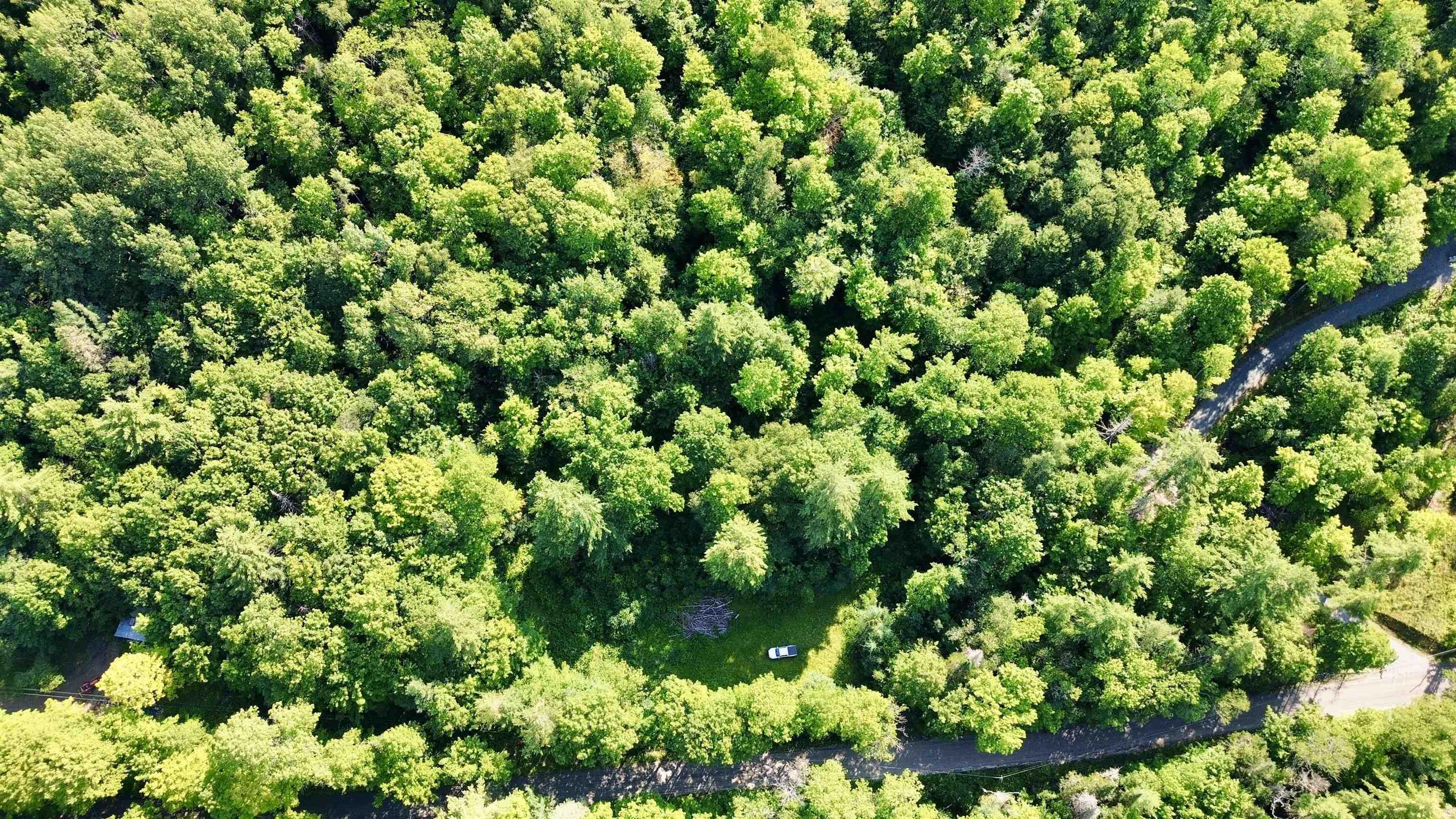 Image 4: 49.16 Acres of Beautiful Land Image 4: 49.16 Acres of Beautiful Land