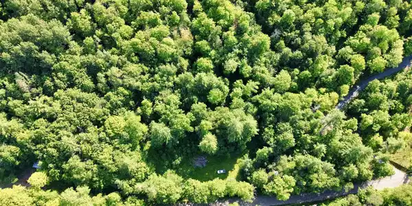 Image 4: 49.16 Acres of Beautiful Land