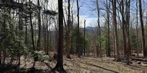 00 Conway Road