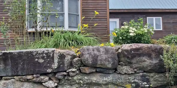 Image 2: Daisies- lilies- peonies