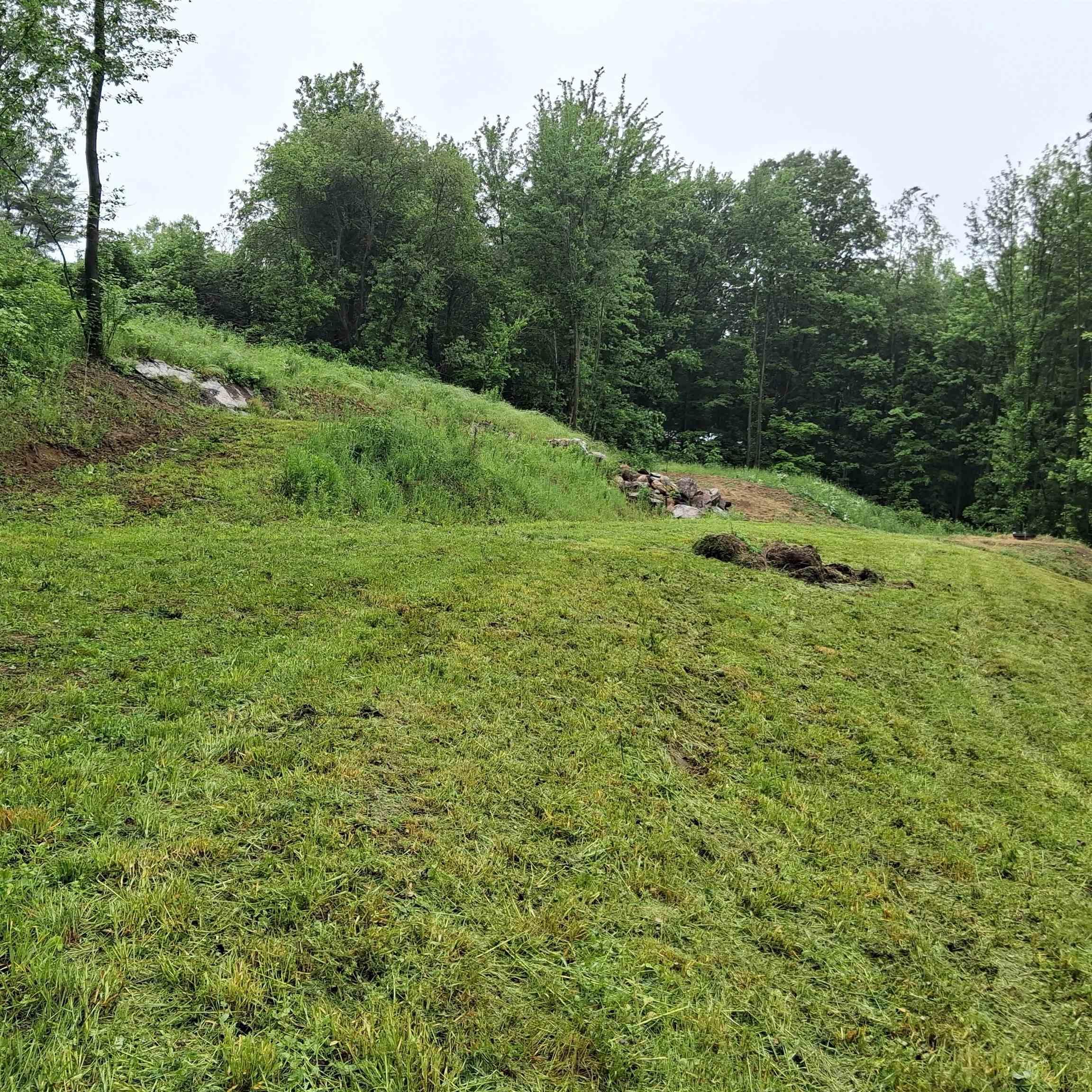 Image 2: lot after being mowed on June 7 Image 2: lot after being mowed on June 7