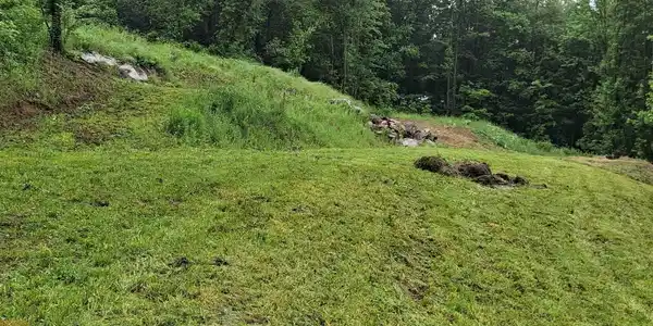 Image 2: lot after being mowed on June 7