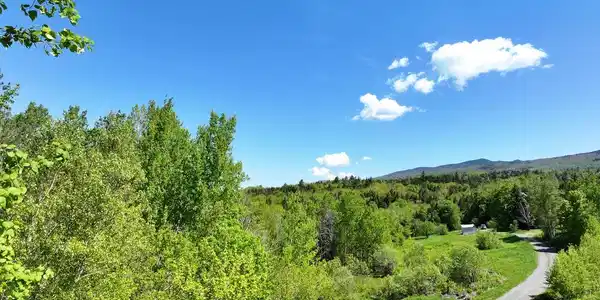 Image 2: Approx. View from a 2nd Story!