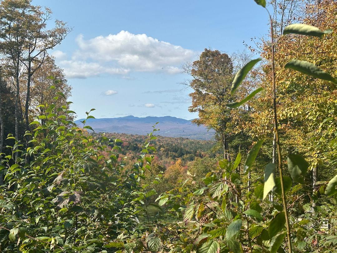 Image 1 Image 1