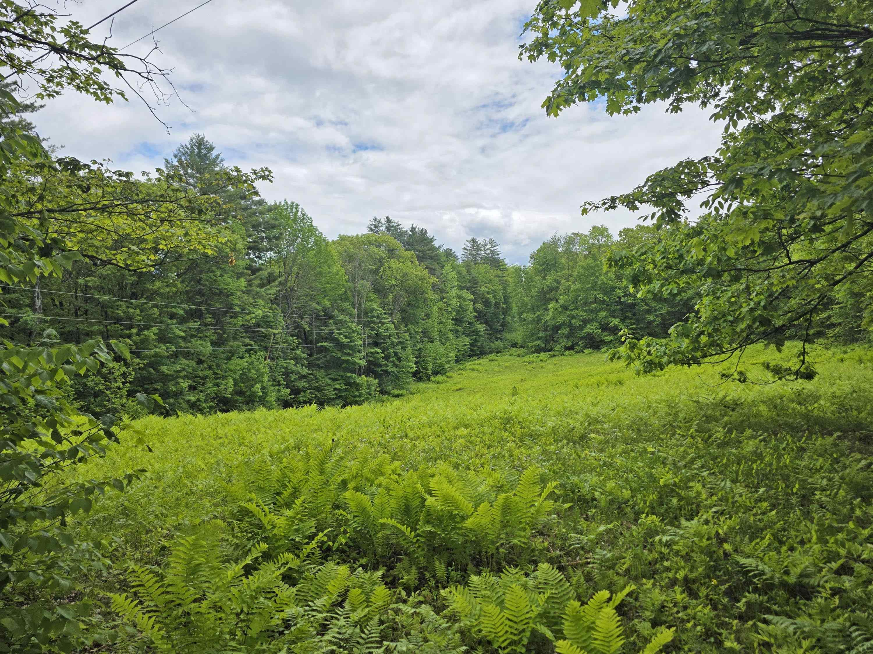 Image 2 Image 2