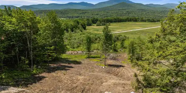 251 White Birch Road