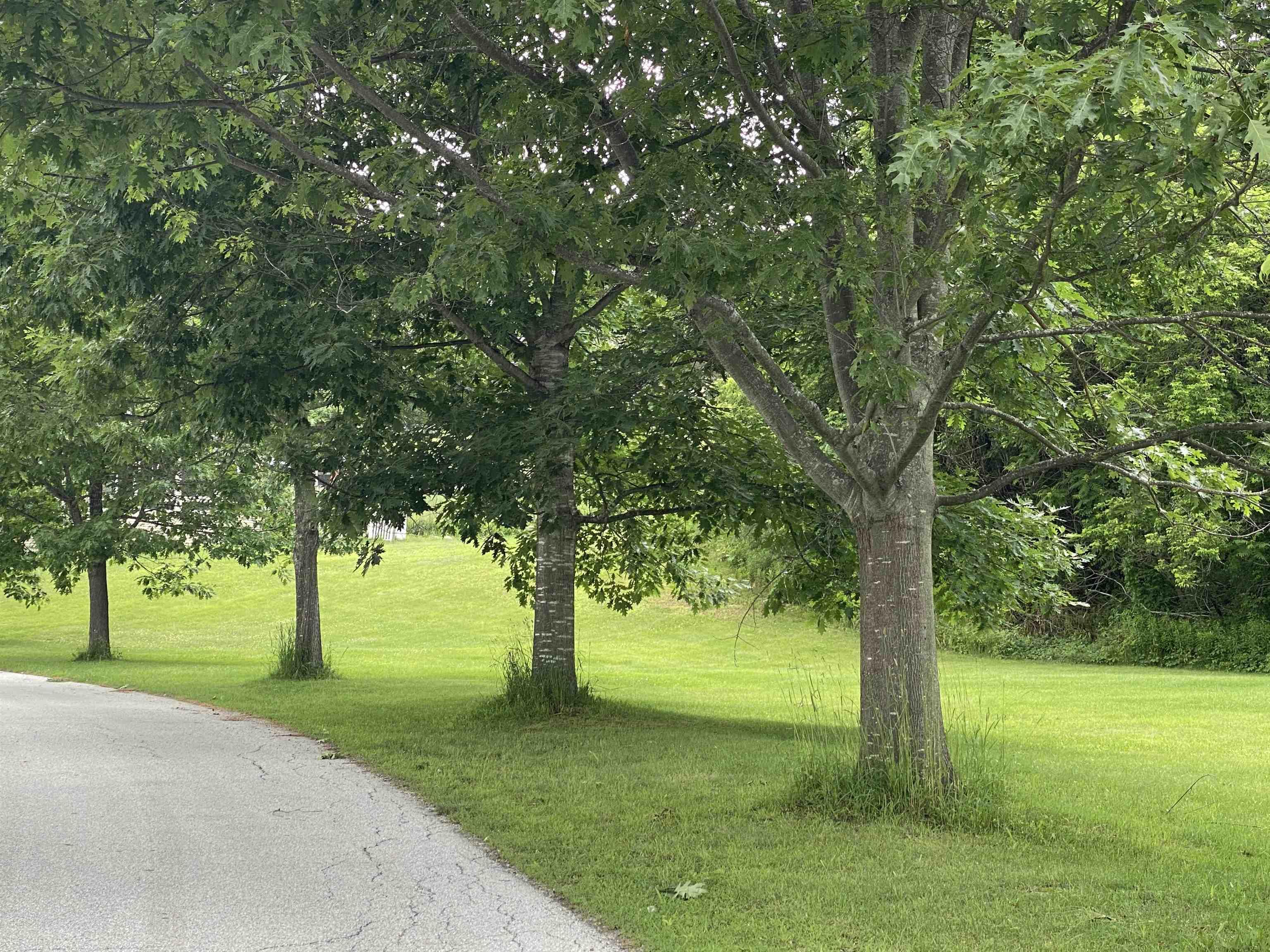 Image 1: Building Lot Lined with Mature Trees Image 1: Building Lot Lined with Mature Trees