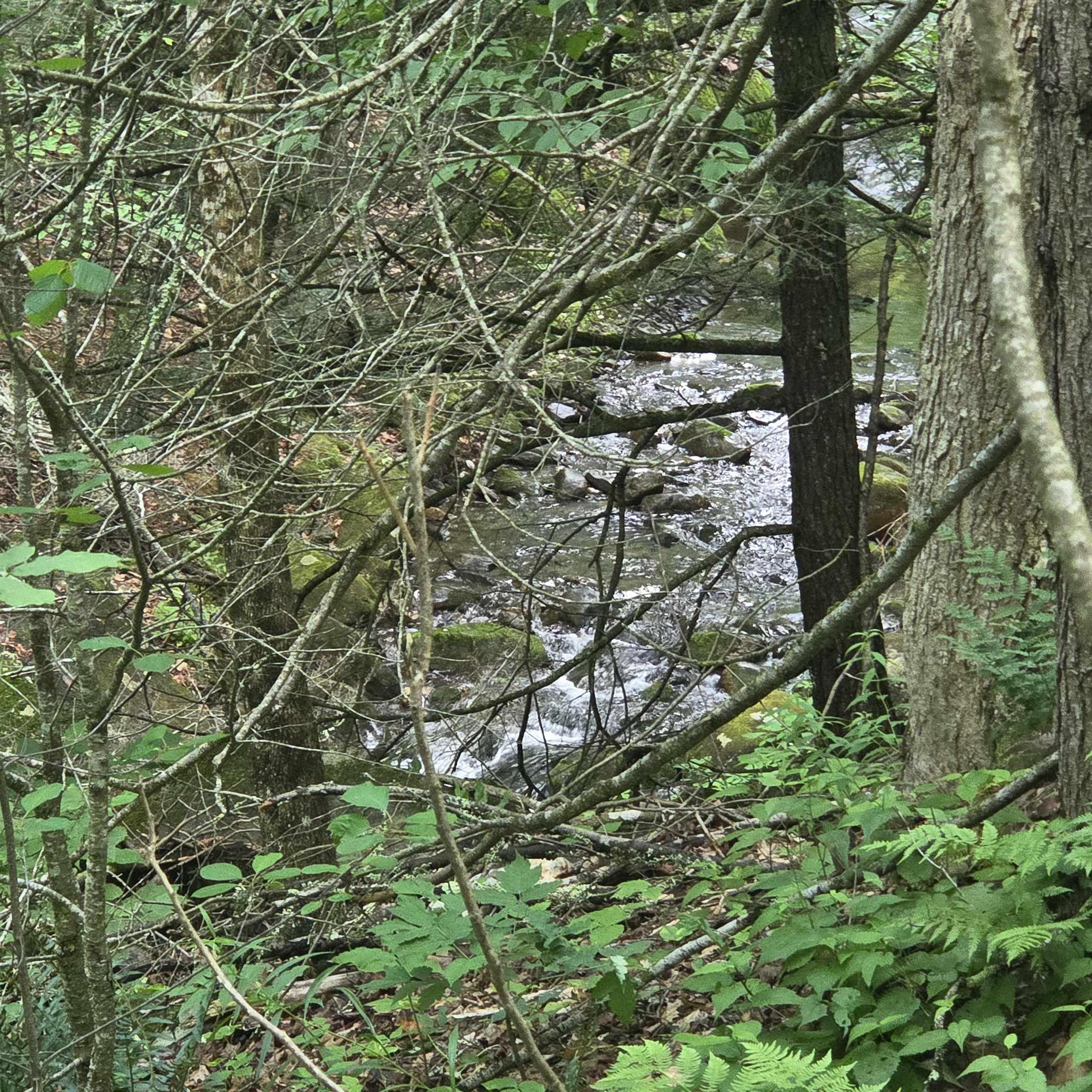 Image 2 Image 2