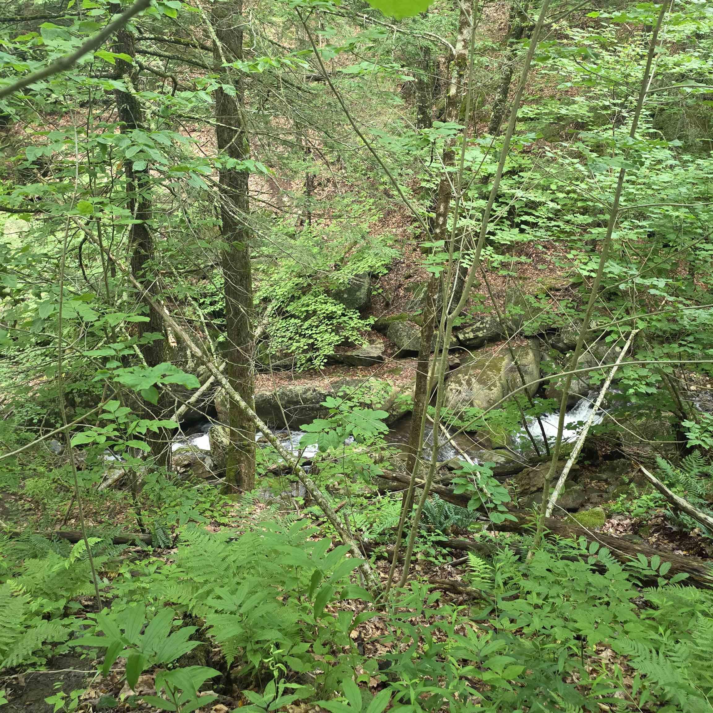 Image 3 Image 3