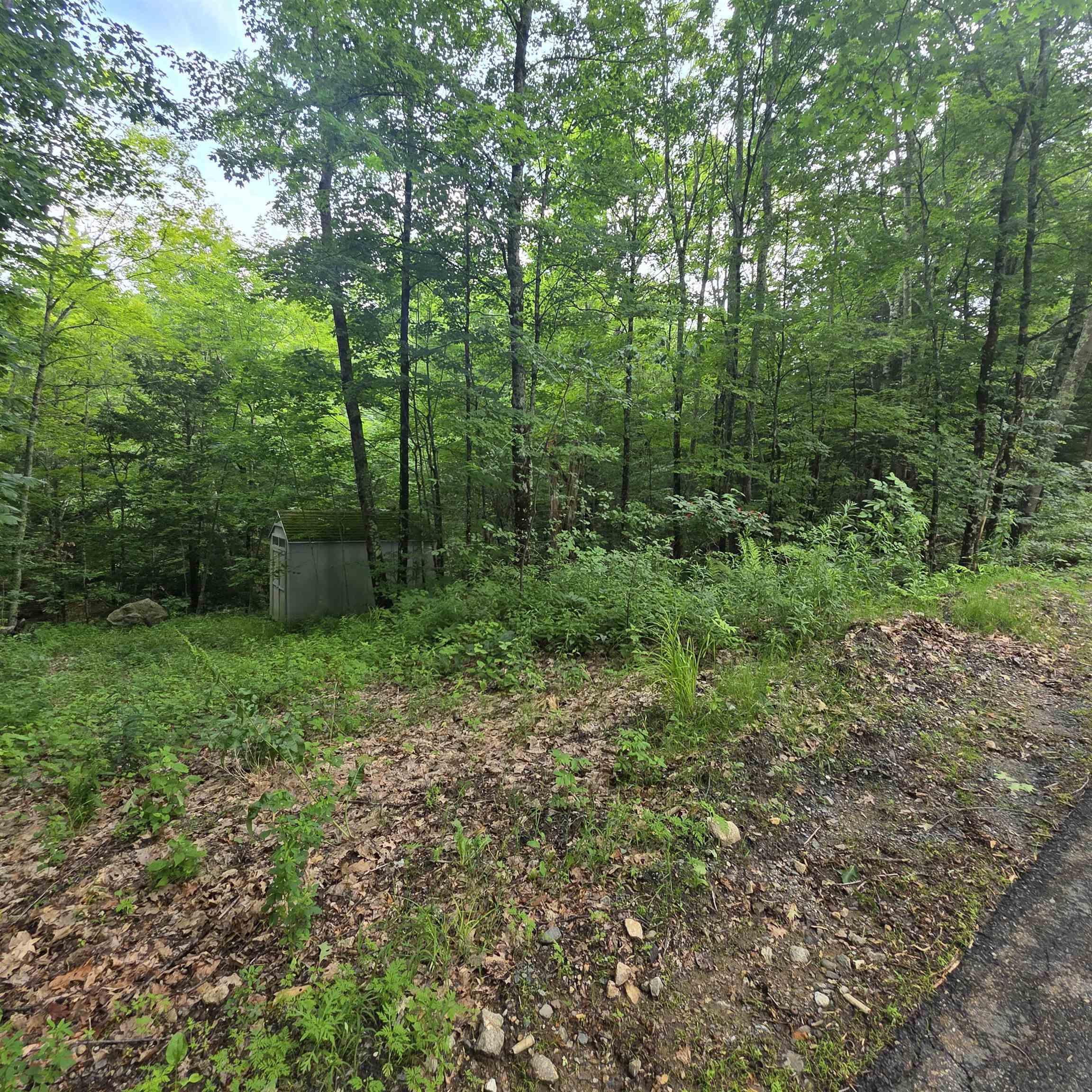 Image 4 Image 4