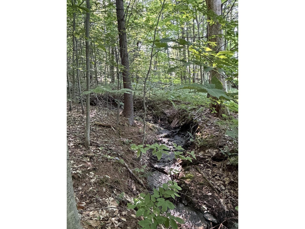 Image 3 Image 3