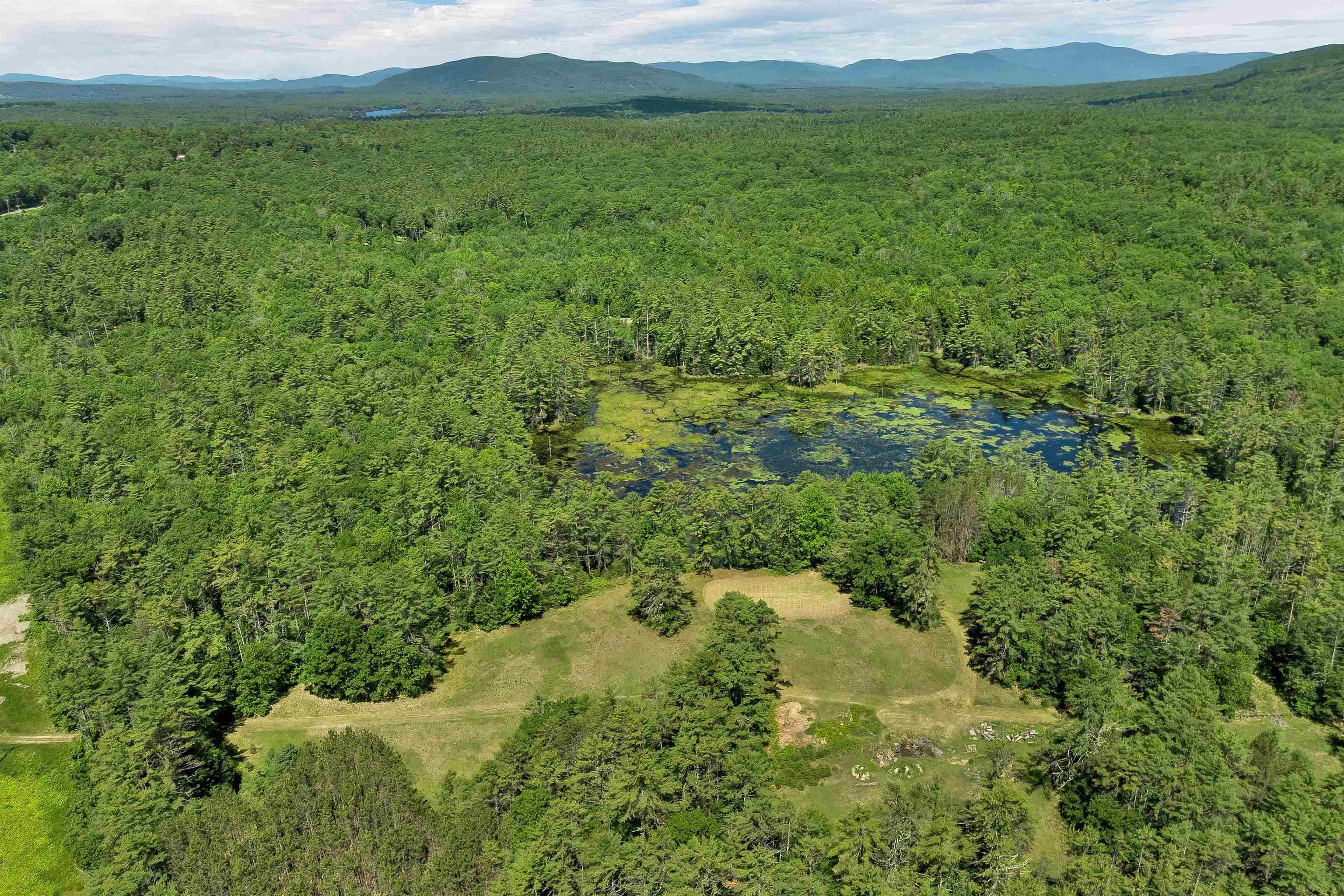 Image 3: Beaver Pond + Clearing