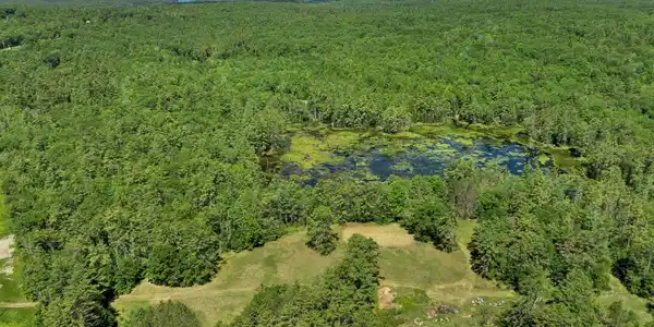 Image 3: Beaver Pond + Clearing Image 3: Beaver Pond + Clearing