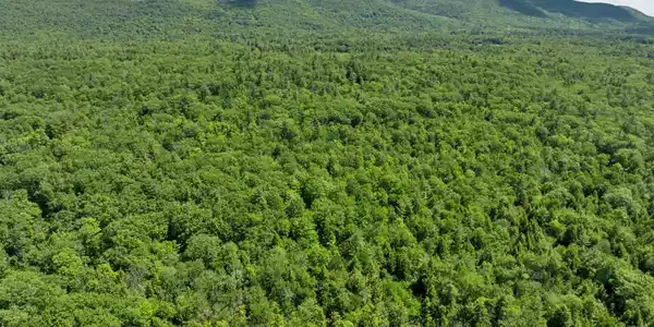 Image 4: Ossipee Mountain Range Image 4: Ossipee Mountain Range