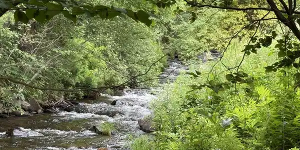 Image 3: Eastman Brook Image 3: Eastman Brook