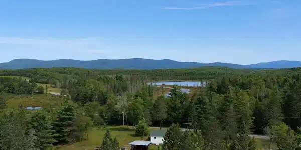 Image 4: Aerial View