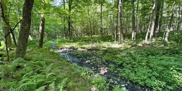 00 Mountain Road