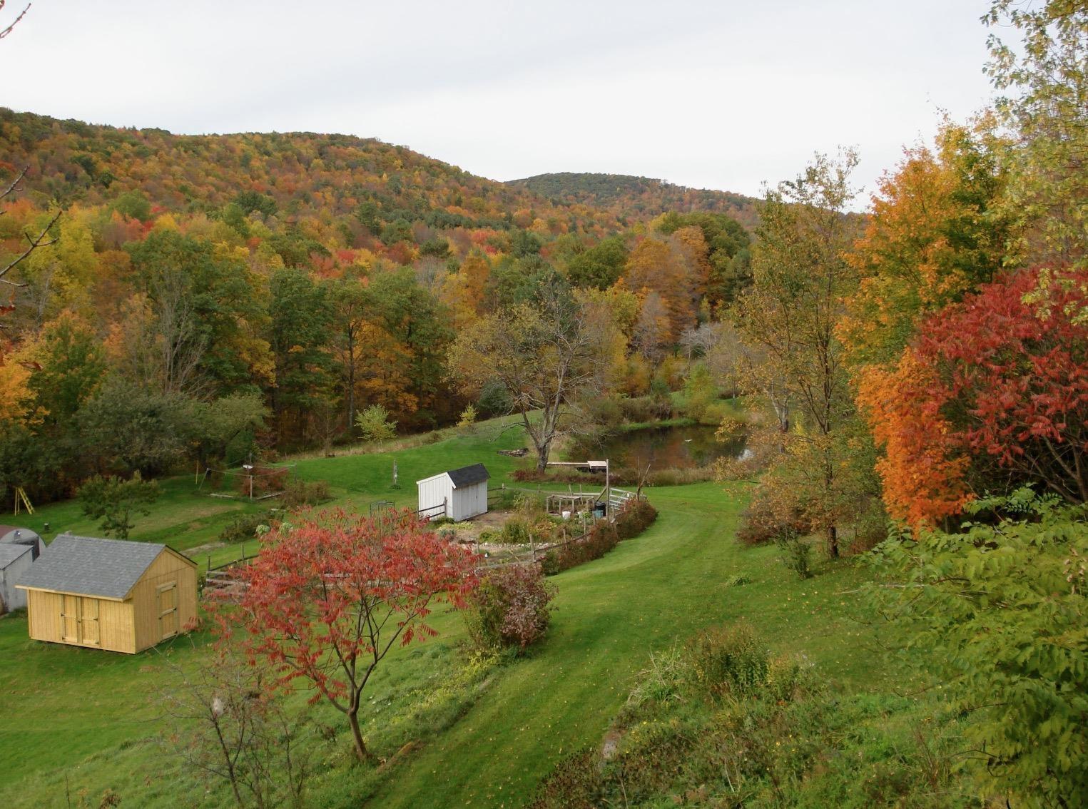 Image 4: EVERYONE LIKES A POND Image 4: EVERYONE LIKES A POND