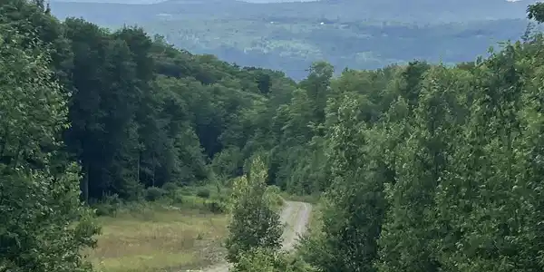 Lot 2&3 Washburn/Meridan Hill Road