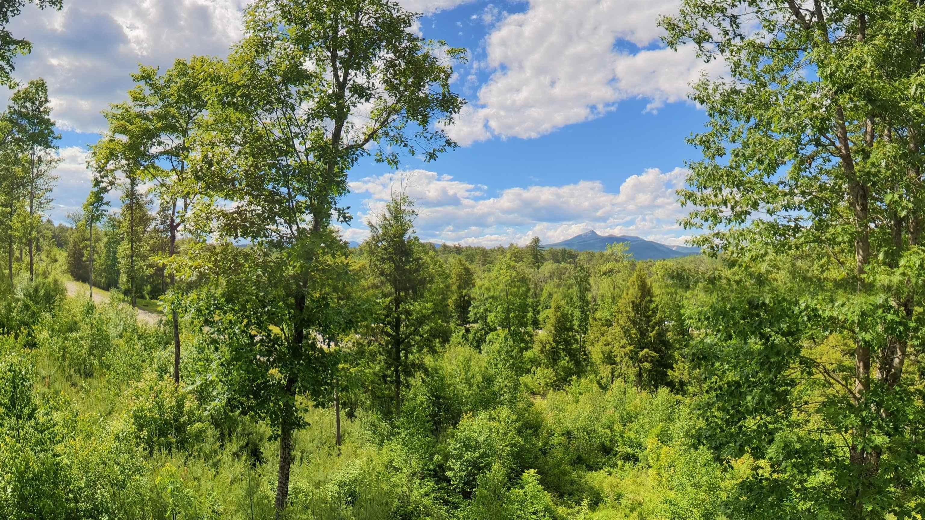 Image 1: View from your future home!