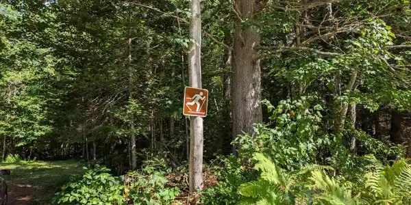 Image 3: Cross country ski sign