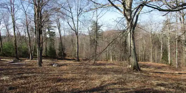 Image 4: View to the left Image 4: View to the left