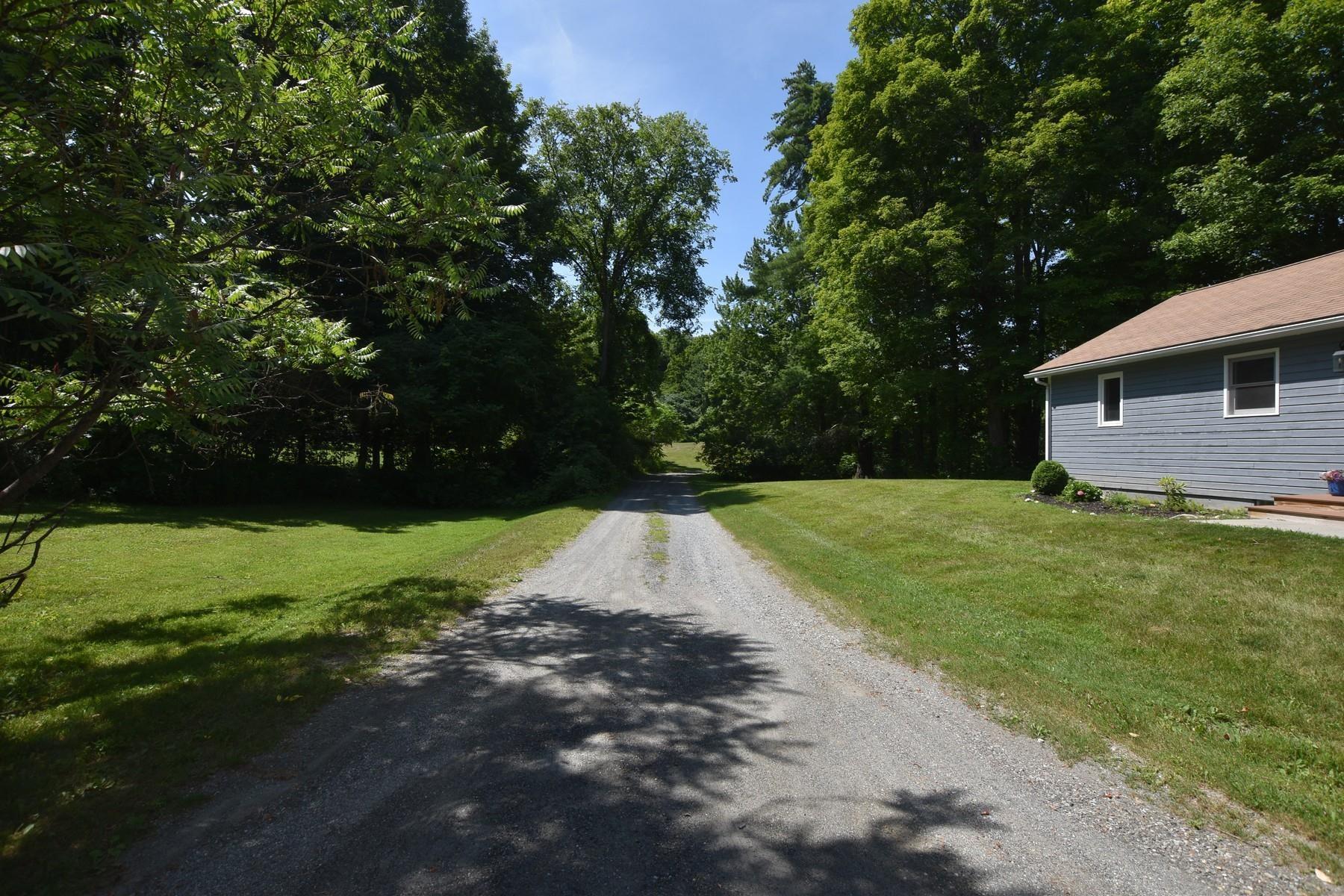 Image 4 Image 4