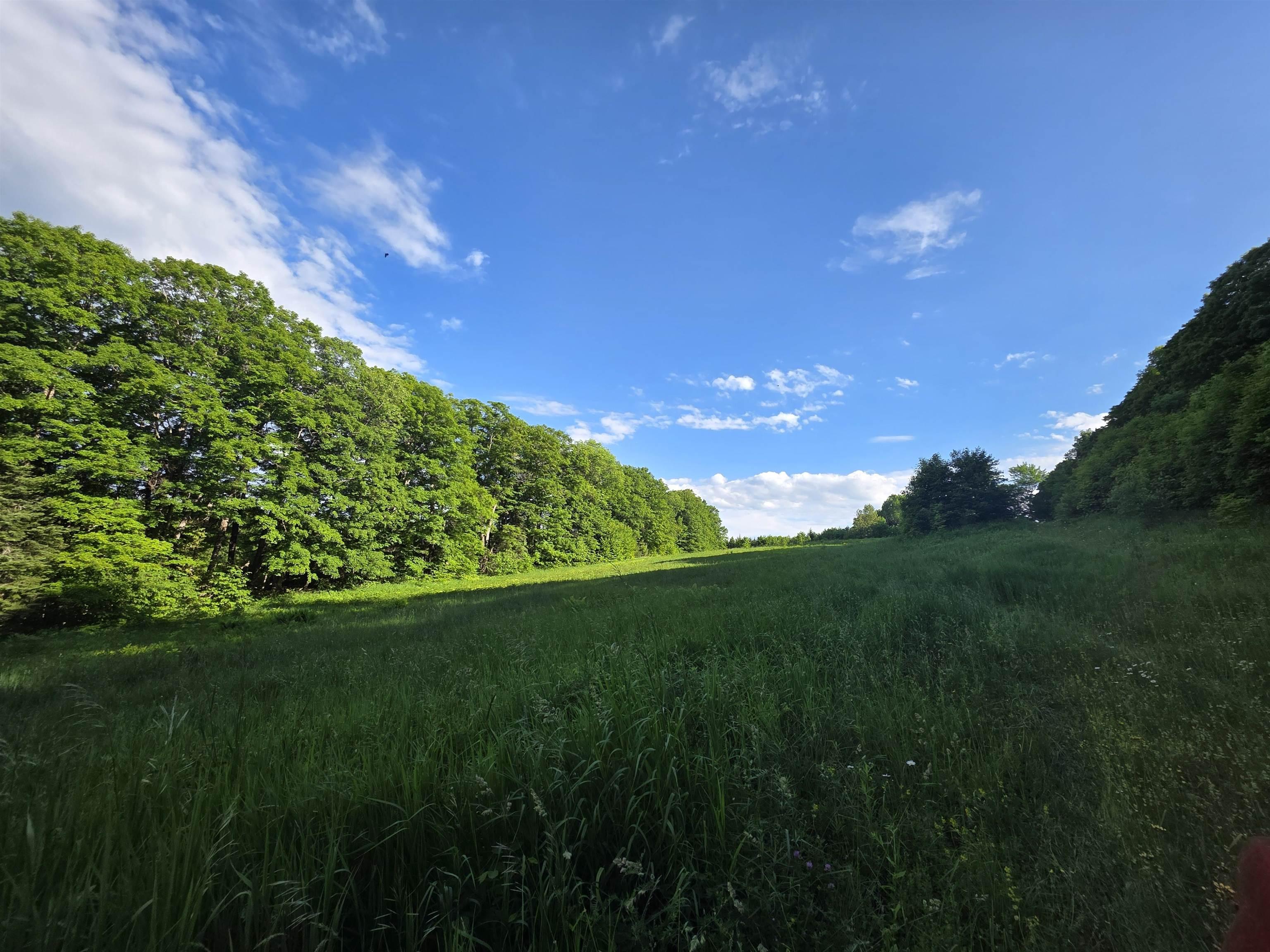 Image 4 Image 4