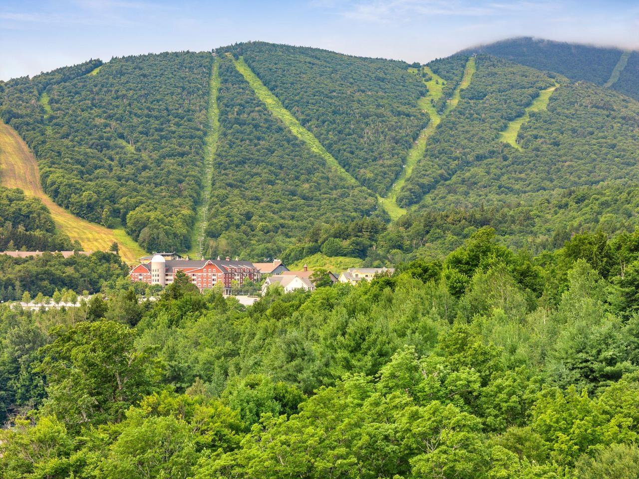 Image 1: Ski Trail Views Image 1: Ski Trail Views