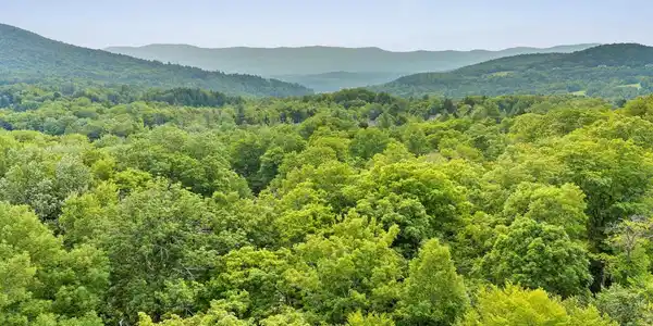 Image 3: Mountain Views