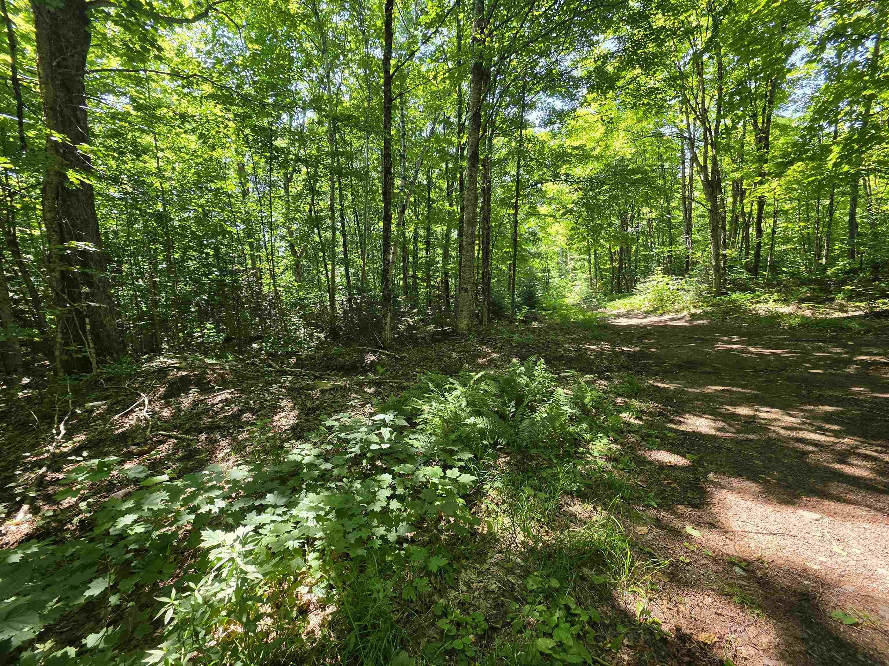 Image 1 Image 1