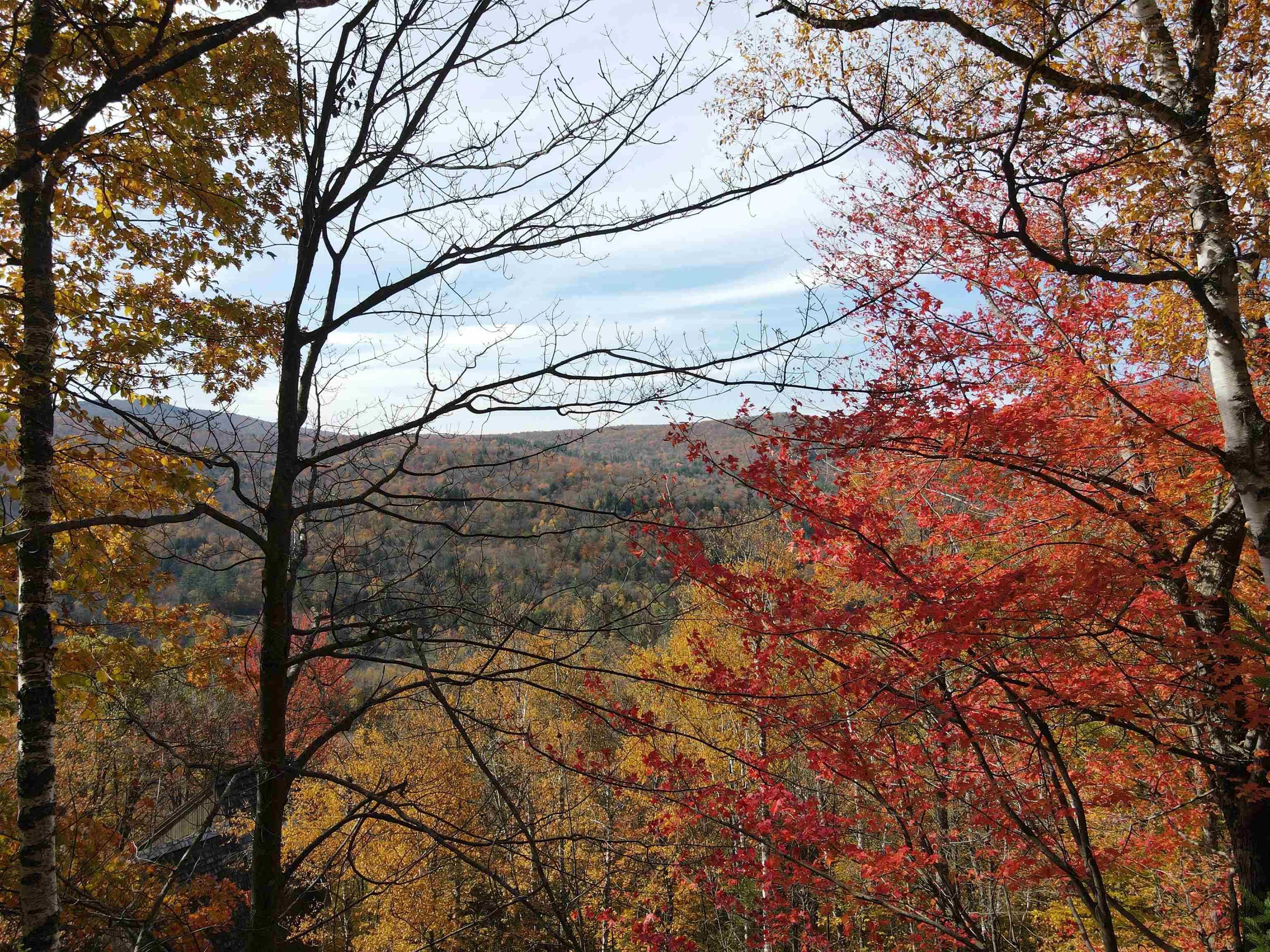 Image 2: Fall view from the lot. Image 2: Fall view from the lot.
